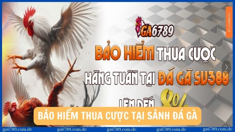 4 chương trình khuyến mãi lớn hấp dẫn tại nhà cái Ga6789 2 Bảo hiểm thua cược hàng tuần tại sảnh đá gà và thể thao